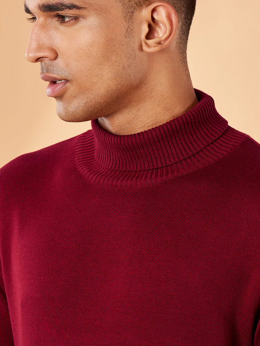 Solids: Pomegranate Turtle Neck